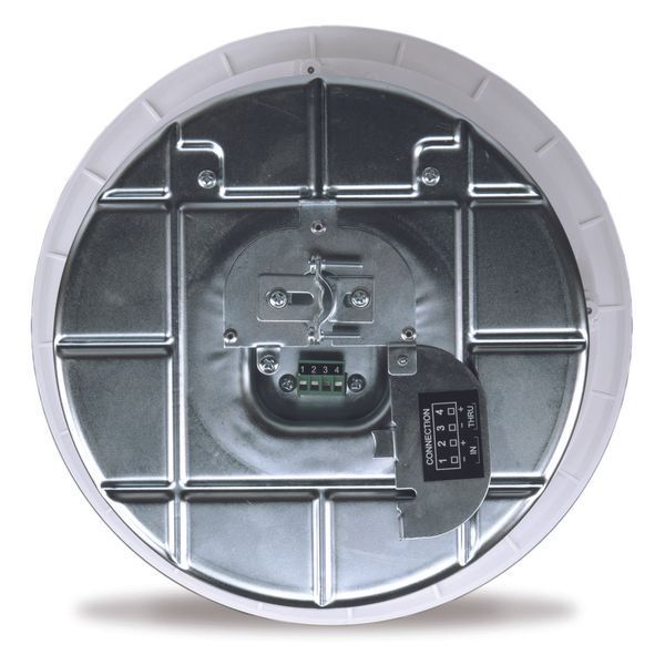 QSC AC-C8T Стельова акустична система RM282948 фото