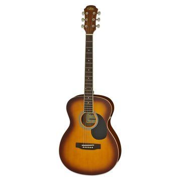Акустична гітара Aria AFN-15 TS RM530227 фото
