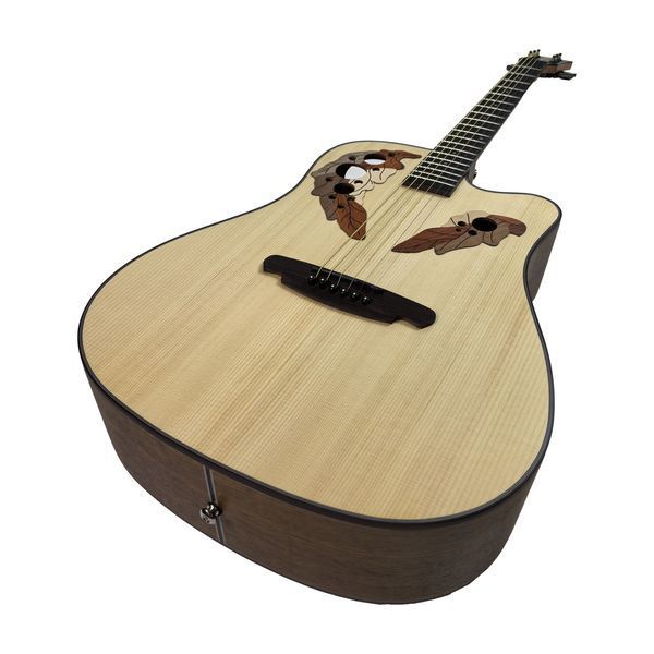 Акустична гітара Toneberg TQ-P LT90207 фото